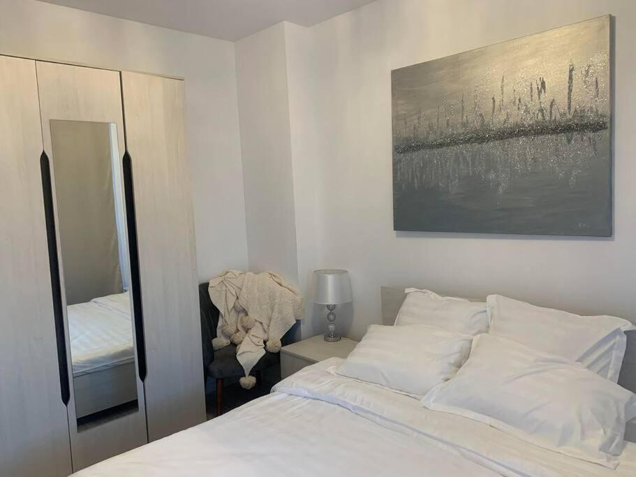 Cool Apartment Temešvár Exteriér fotografie