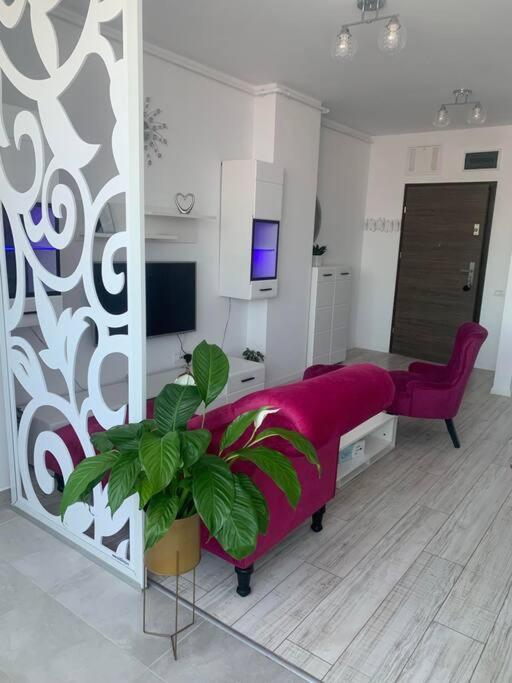 Cool Apartment Temešvár Exteriér fotografie